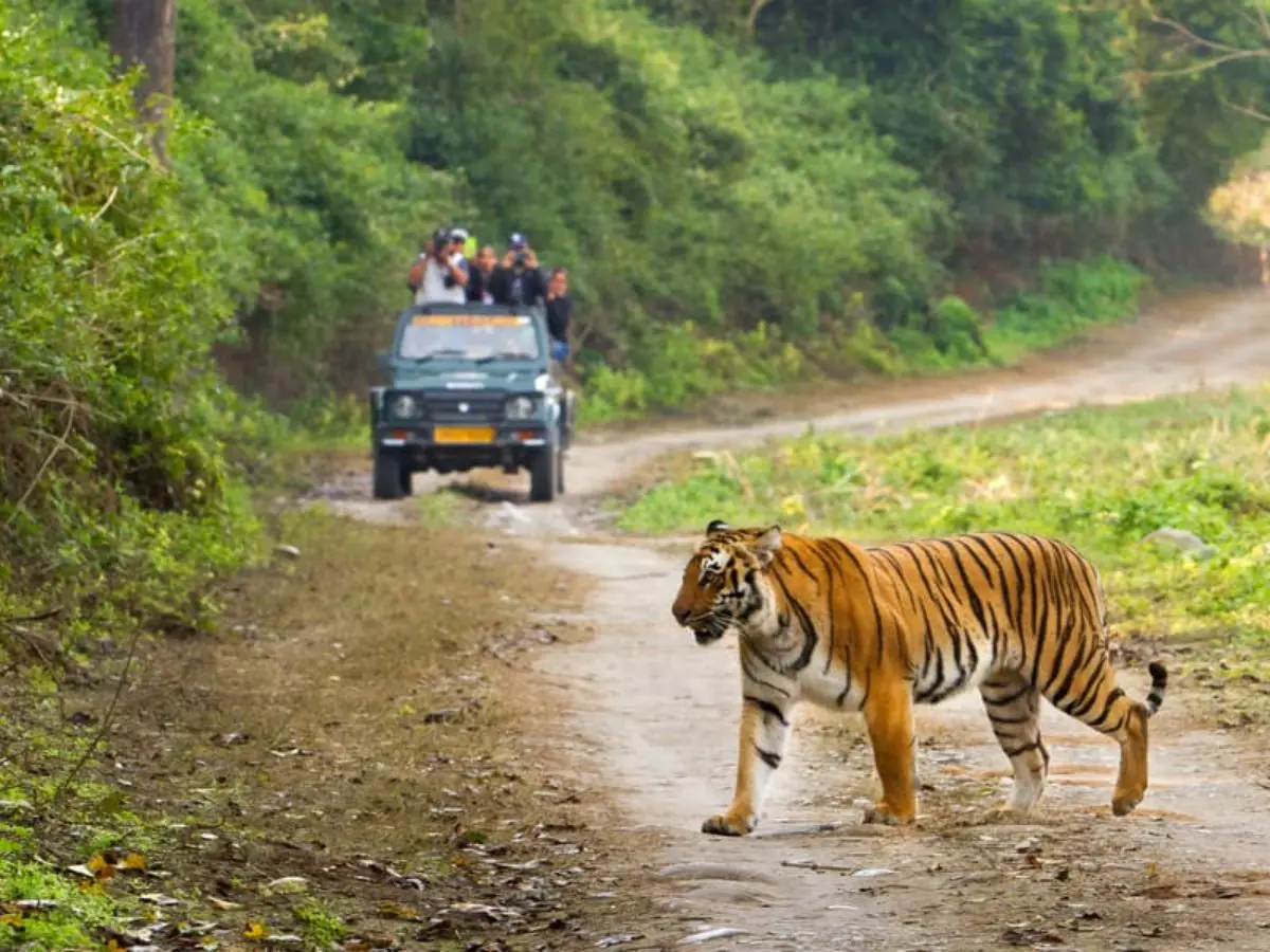 Jim Corbett Trip